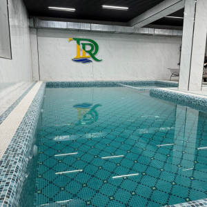 WhatsApp Image 2026 02 15 At 162624